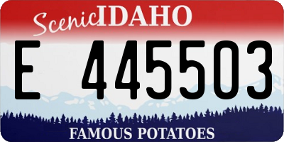 ID license plate E445503