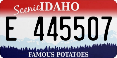 ID license plate E445507