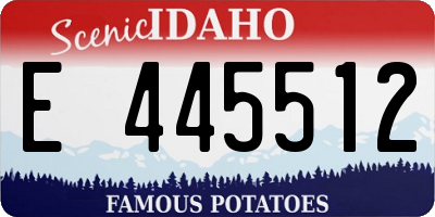ID license plate E445512