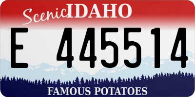ID license plate E445514