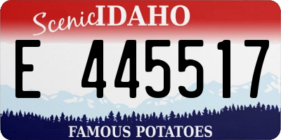 ID license plate E445517