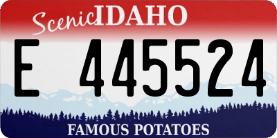 ID license plate E445524