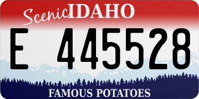 ID license plate E445528