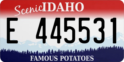 ID license plate E445531