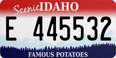 ID license plate E445532