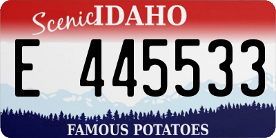 ID license plate E445533