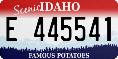 ID license plate E445541