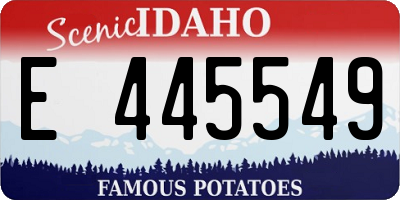 ID license plate E445549