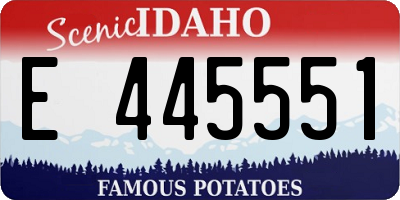 ID license plate E445551