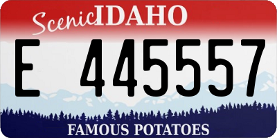 ID license plate E445557