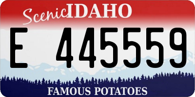 ID license plate E445559