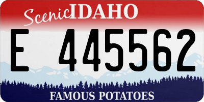 ID license plate E445562