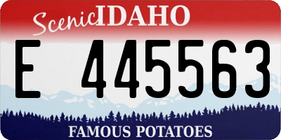 ID license plate E445563