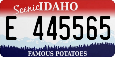 ID license plate E445565