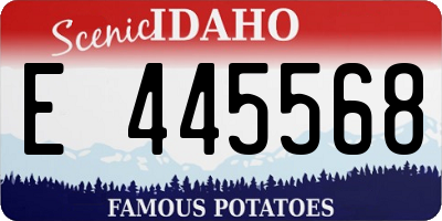 ID license plate E445568