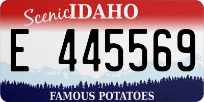 ID license plate E445569