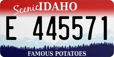 ID license plate E445571