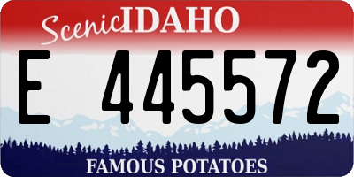 ID license plate E445572