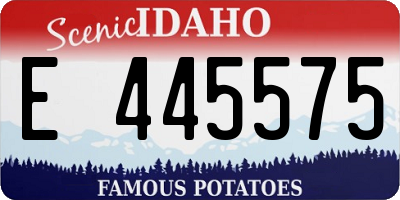 ID license plate E445575