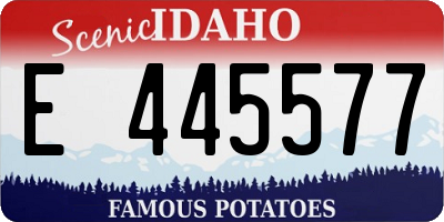 ID license plate E445577