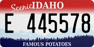 ID license plate E445578