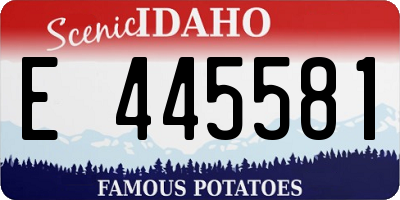ID license plate E445581