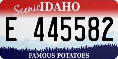 ID license plate E445582