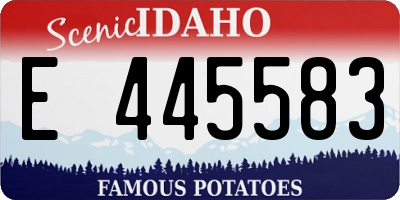 ID license plate E445583
