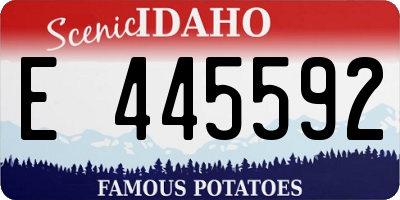 ID license plate E445592