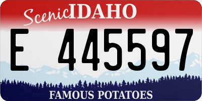 ID license plate E445597