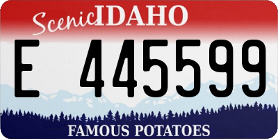 ID license plate E445599