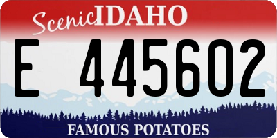ID license plate E445602