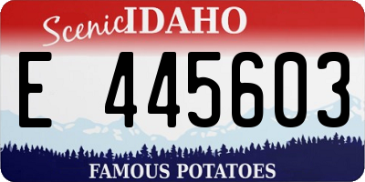 ID license plate E445603