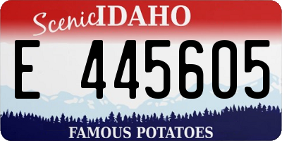 ID license plate E445605
