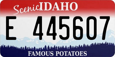 ID license plate E445607