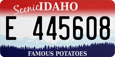 ID license plate E445608