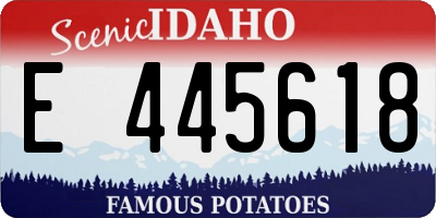 ID license plate E445618