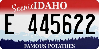 ID license plate E445622