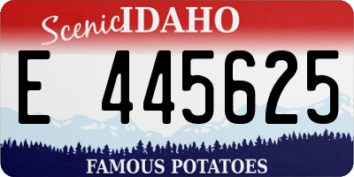 ID license plate E445625