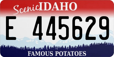 ID license plate E445629