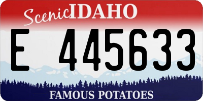 ID license plate E445633