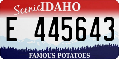 ID license plate E445643