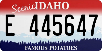 ID license plate E445647