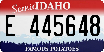 ID license plate E445648