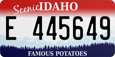 ID license plate E445649