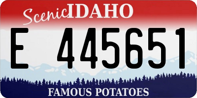 ID license plate E445651