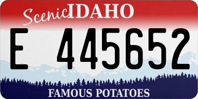 ID license plate E445652