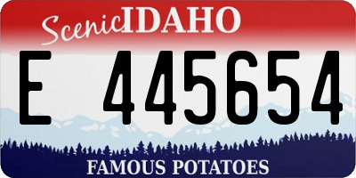 ID license plate E445654