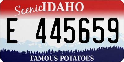 ID license plate E445659