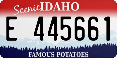 ID license plate E445661